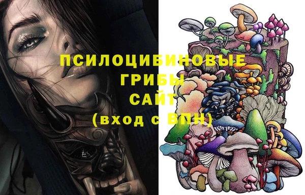 герыч Бородино