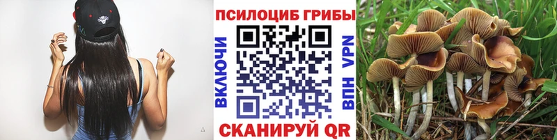 купить   Гороховец  мориарти как зайти  Галлюциногенные грибы мухоморы 